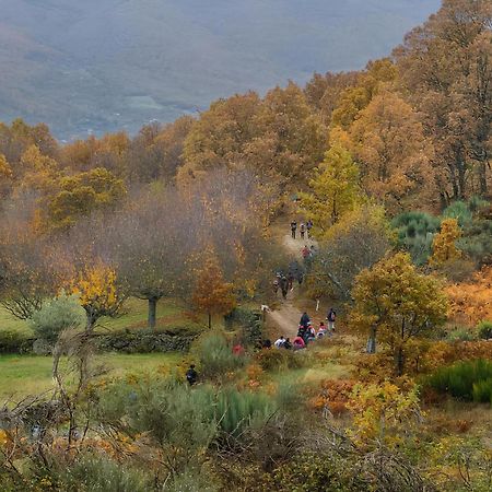 Apartamento Rural Arbequina, PISCINA CLIMATIZADA TERMAL Balneario el Salugral a 12 KILÓMETROS, 5 euros por persona Casas del Monte Exterior foto